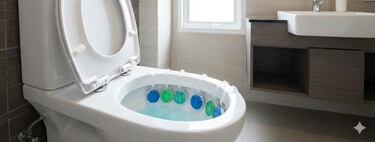 Poner mal las pastillas del inodoro puede causar serias y caras averías en el baño. Esto es lo que recomiendan los fabricantes