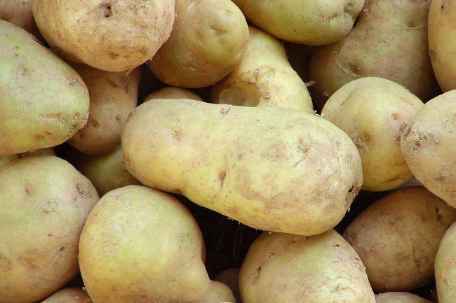 importanciadelapatata