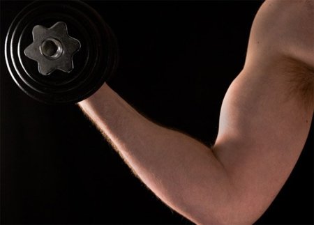 La fuerza está determinada por varios factores