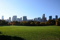 Camping en Nueva York