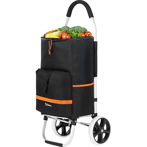 Eskey Carrito de Compras con Compartimento frigorífico