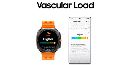 Carga Vascular