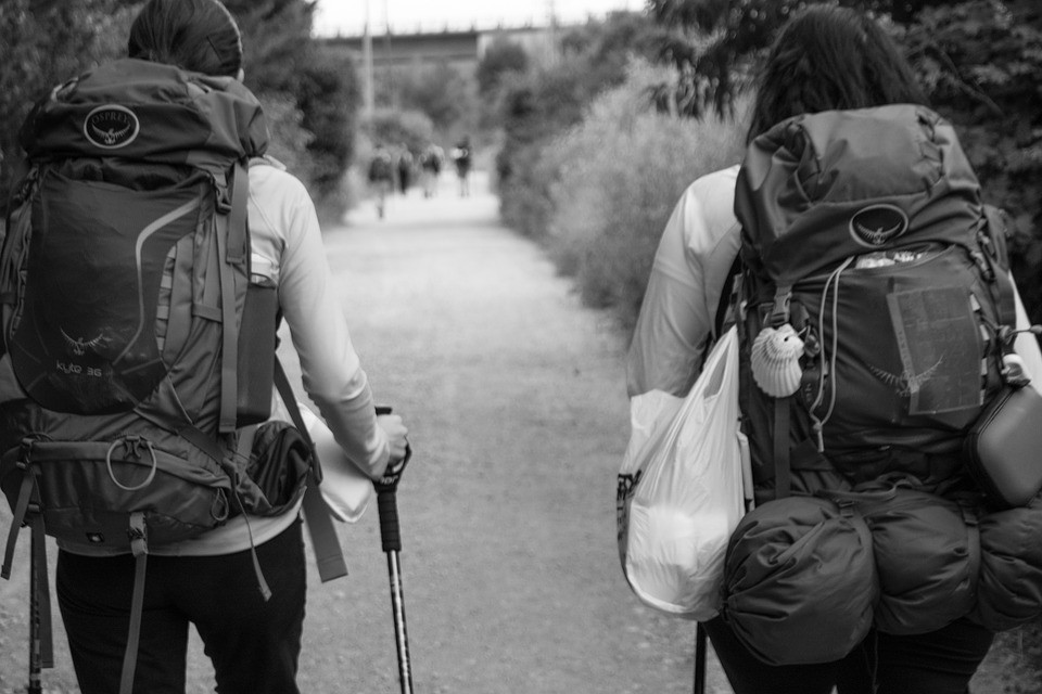 Ocho cifras que confirmarán que el Camino de Santiago es un acontecimiento 