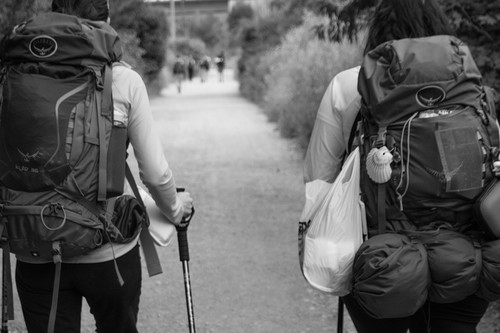 Ocho cifras que confirmarán que el Camino de Santiago es un acontecimiento 