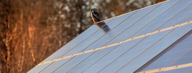 16 años después, los paneles solares de perovskita han evolucionado tanto que pueden cambiar la industria: esto es lo que ofrecen 