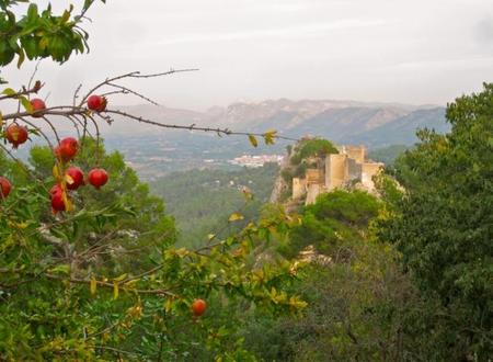 Desde lo alto del Castillo de Xàtiva