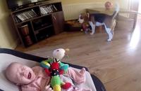 Increíble reacción de un perro después de haberle robado un juguete a un bebé