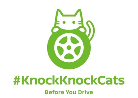 Nissan inicia una campaña en Japón…para salvar gatitos callejeros