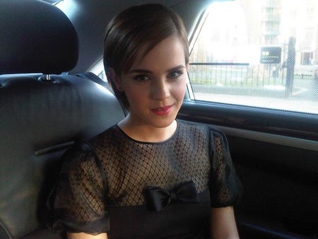 Con Emma Watson ya hemos encontrado a la bella pero... ¿quién hará de bestia?