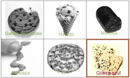 Solución a la adivinanza: el alimento con más grasa es el queso azul