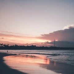 Foto 9 de 13 de la galería fondos-de-naturaleza en Xataka Android