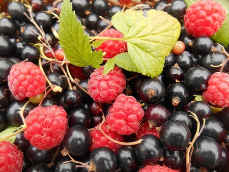 Top cinco de frutas frescas ricas en fibra