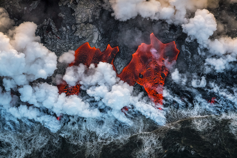 Ganadores Wildlife Photographer of the Year 2019 concurso fotografía ...
