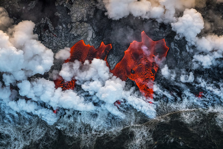 C Luis Vilarino Wildlife Photographer Of The Year