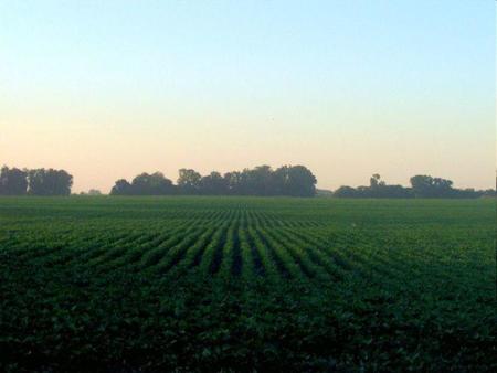 ¿Hemos alcanzado los límites de la agricultura?