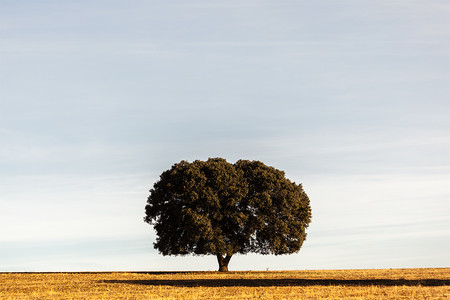 ¿Hasta qué punto es importante con qué cámara fotografiar?