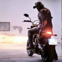 Tres Ducati Scrambler para tres preparadores nacionales, rumbo al WDW