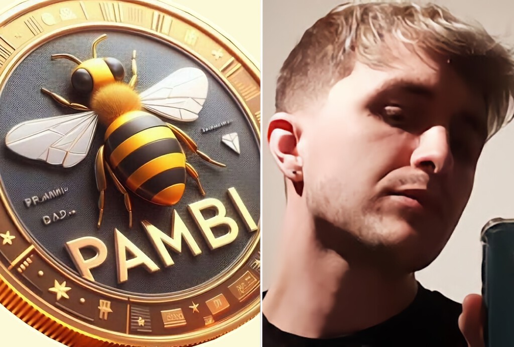 Dalas creó su propio criptomoneda. Tras convencer a sus seguidores para que subiera, provocó una caída del 80% 