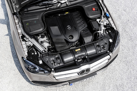 gle6