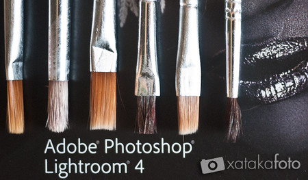 Trabajo por zonas en Lightroom 4