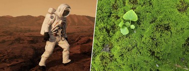 Estamos empeñados en colonizar Marte, así que hemos hecho algo extraño: cubrir de musgo la Estación Espacial Internacional