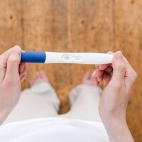 Test de embarazo: cómo y cuándo hacerlo para que sea fiable