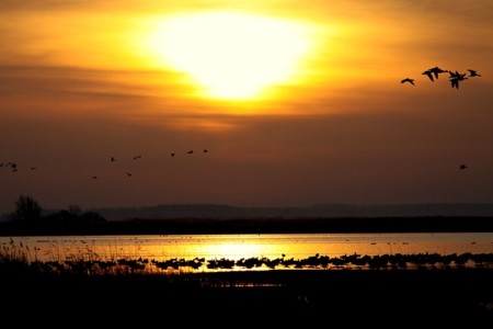 Compañeros de ruta: buscando el sol, y también huyendo de él