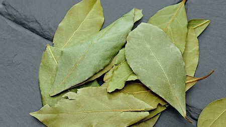 Laurel
