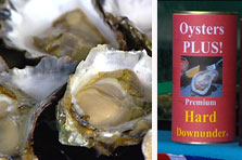 En Australia alimentan ostras con viagra, ViagraOysters