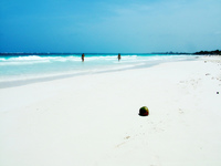 Gastos empresariales ubicados en las zonas grises