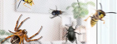 No taladres las ventanas: esta mosquitera magnética es fácil de instalar, mantiene fuera a los insectos y cuesta menos de 15 euros  