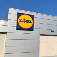 Lidl vende el árbol de Navidad ideal para pisos pequeños: cuesta 9 euros y ya viene adornado