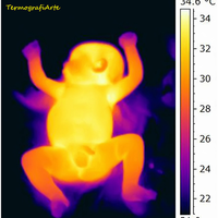 Demostrado: los bebés tienen las manos y los pies más fríos que el resto del cuerpo