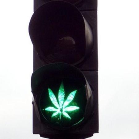 ¿Cómo tributa la marihuana?