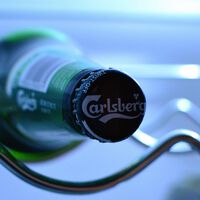 Putin "nacionaliza" Danone y Carlsberg en represalia por intentar salirse del mercado ruso 