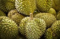El Durian: la fruta reina... del mal olor