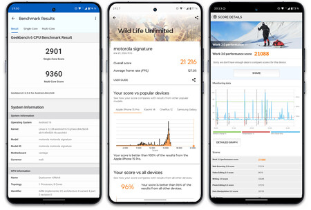 De izquierda a derecha: Geekbench 6, 3D Mark Wild Life Unlimited y PC Mark 3.0