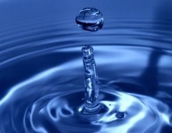 Día Mundial del Agua 2007. Afrontar la escasez