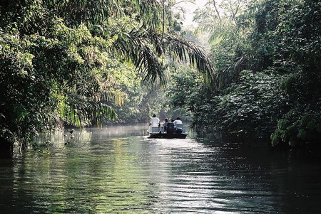 Puerto Limon Tortugero
