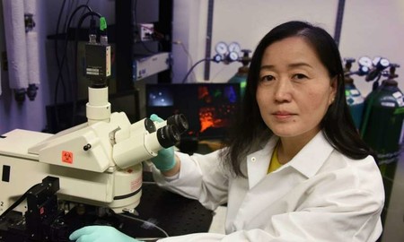 Se ha logrado curar la depresión en ratones macho al activar el gen que ayuda a excitar las neuronas