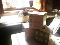 Dymotics, la domótica al alcance de tu móvil