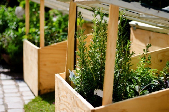 Nueve ideas para montar tu huerto en casa con estilo