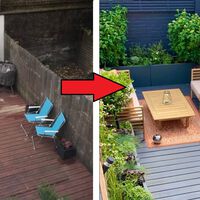 Tenía este patio viejo y oscuro y lo ha convertido en un auténtico oasis urbano: solo ha hecho falta pintura, plantas e ingenio 