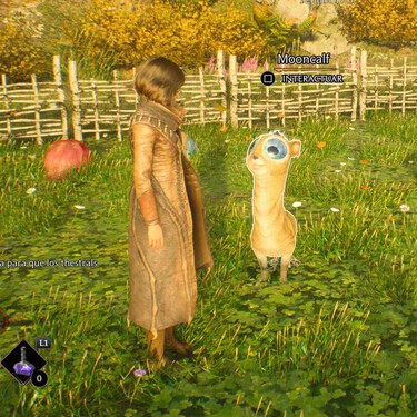 Nos gusta Hogwarts Legacy porque en vez de despellejar animales tienes que protegerlos de los furtivos 