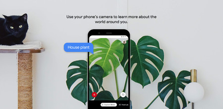 Google Lookout: la aplicación que ayuda a las personas con problemas de visión llega en español