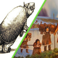 Hace 20,000 años los humanos llegaron a Argentina: sobrevivieron comiendo armadillos gigantes 