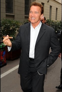Matrimonio Schwarzenegger, ¿infractores habituales?