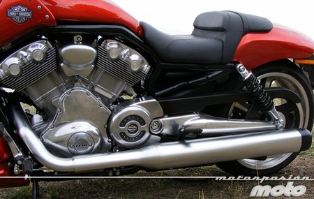 H-D V-Rod Muscle