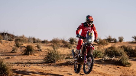 Schareina Dakar 2023