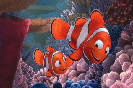 La verdadera familia de Nemo: poliandria y transexualidad